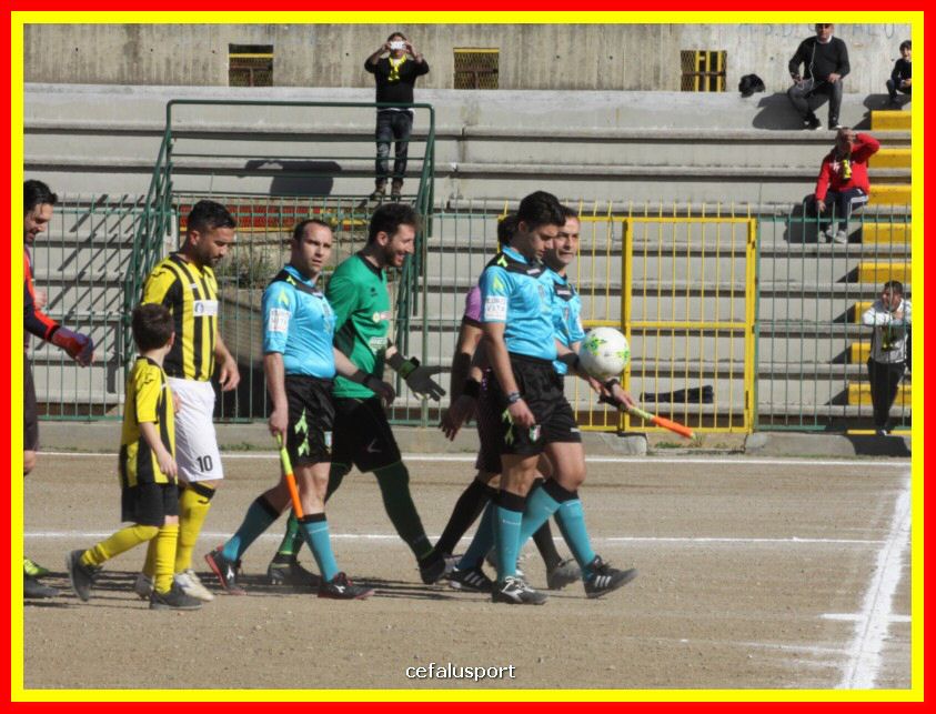 190310 Cephal_Torrenov 025_tn.jpg